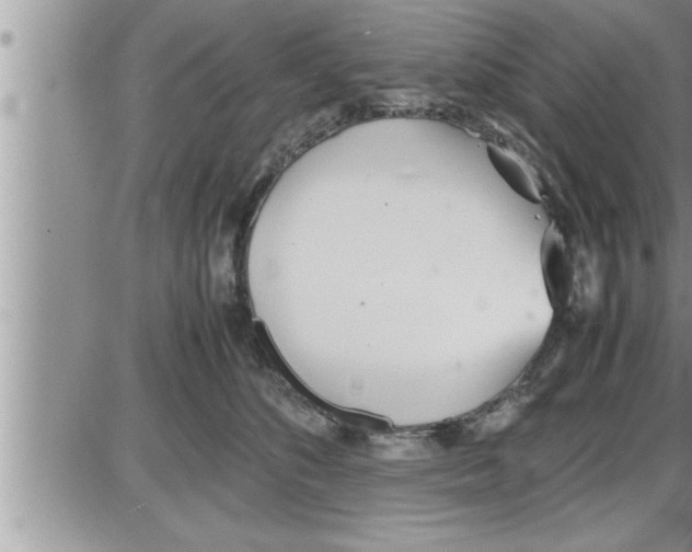 X0000086330516200704271945