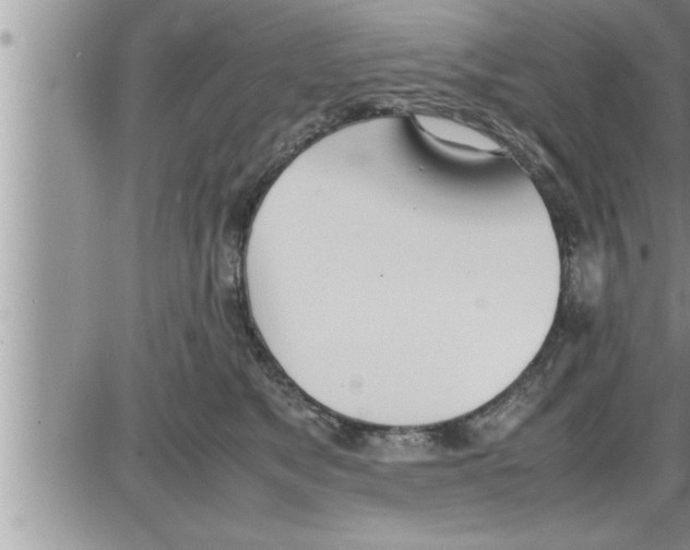 X0000086330517200704271945