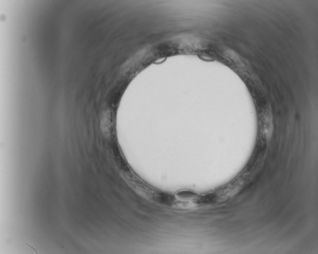 X0000086330519200704271945