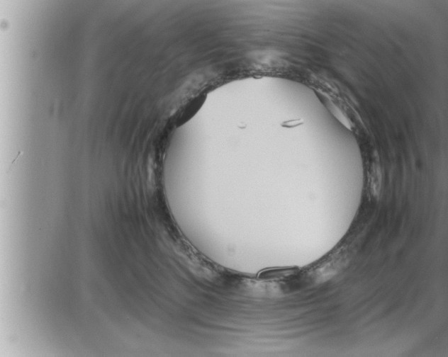 X0000086330520200704271945