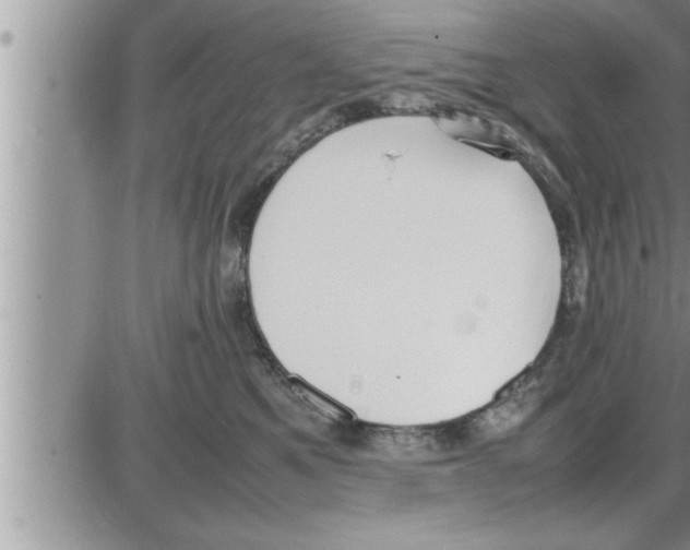 X0000086330521200704271945