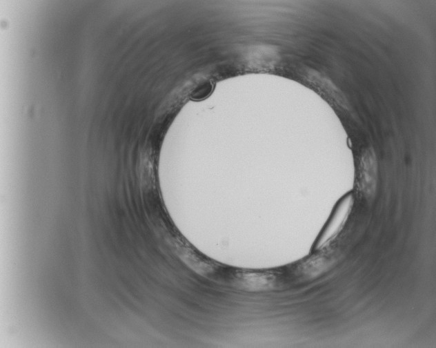 X0000086330522200704271945