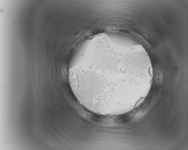 X0000086330523200704271945