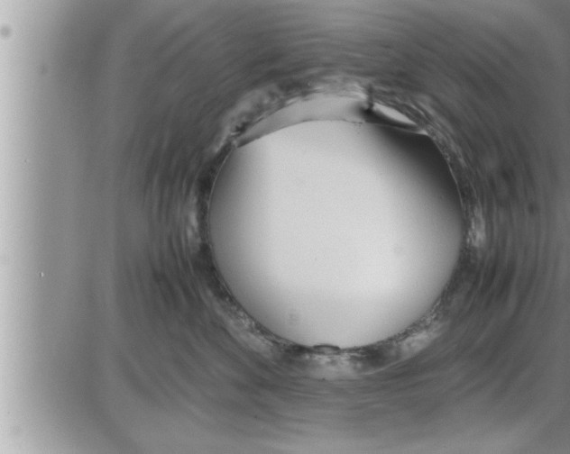 X0000086330524200704271945