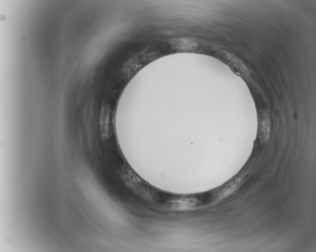 X0000086330525200704271945