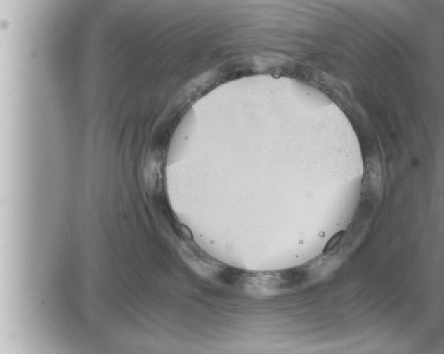 X0000086330527200704271945