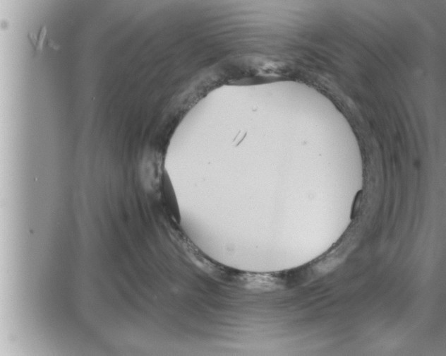 X0000086330528200704271945