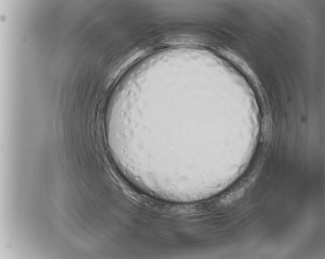 X0000086330529200704271944