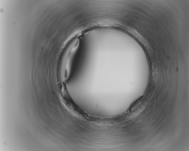 X0000086330530200704271944