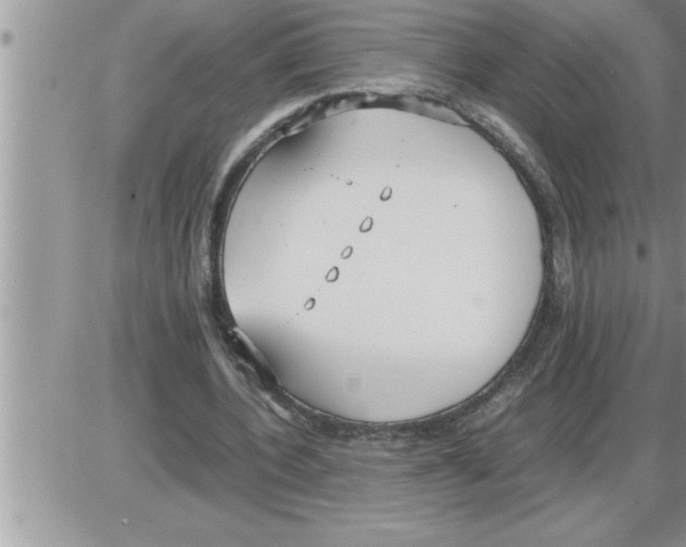 X0000086330532200704271944