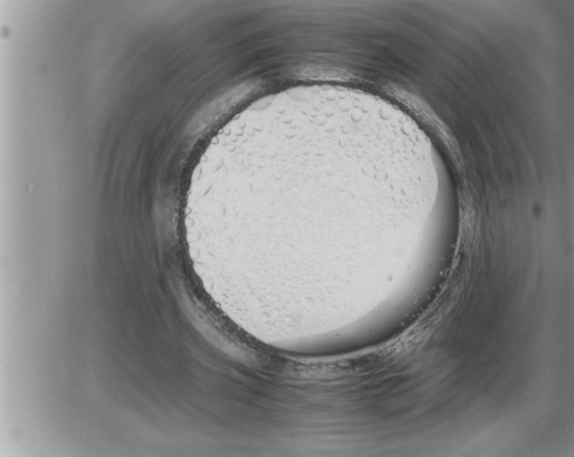 X0000086330533200704271944