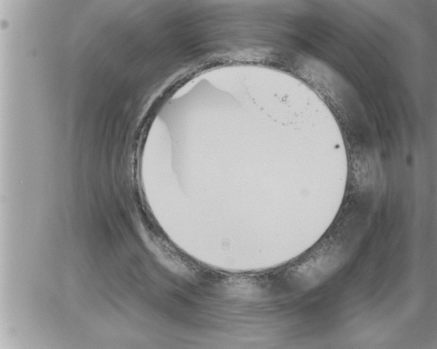 X0000086330534200704271944