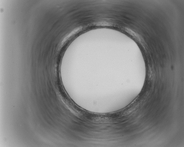 X0000086330535200704271944