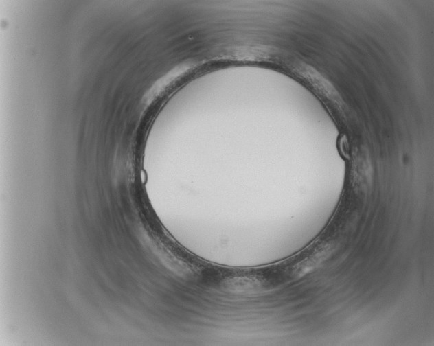 X0000086330536200704271944