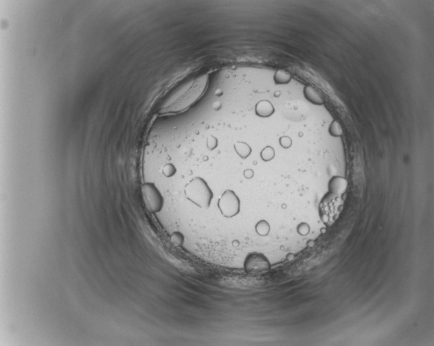 X0000086330537200704271944