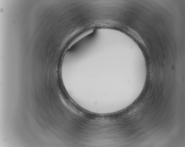 X0000086330538200704271944