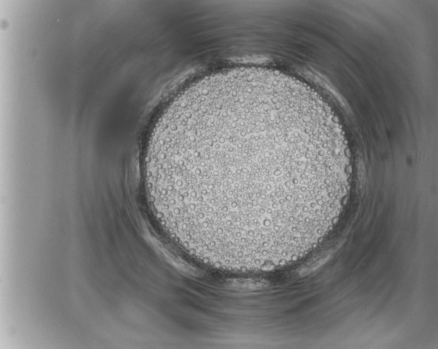 X0000086330541200704271945