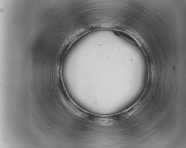 X0000086330542200704271945