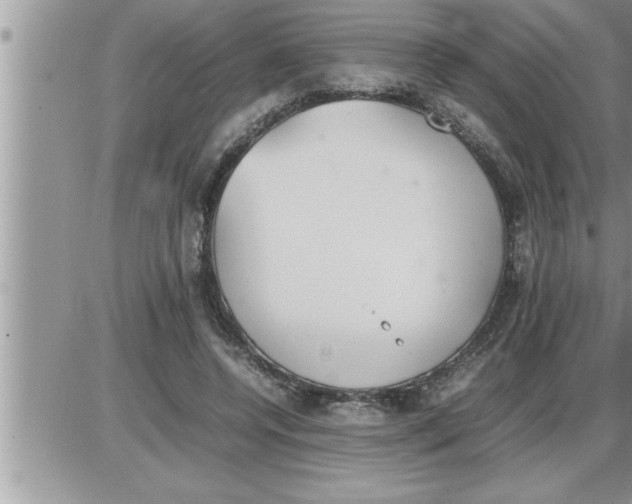 X0000086330544200704271945