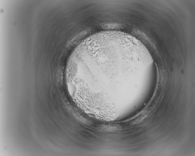 X0000086330545200704271945