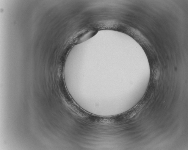 X0000086330546200704271945