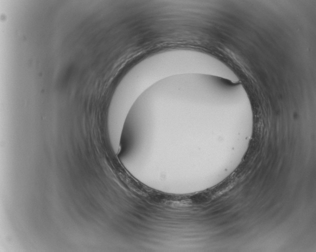 X0000086330548200704271945