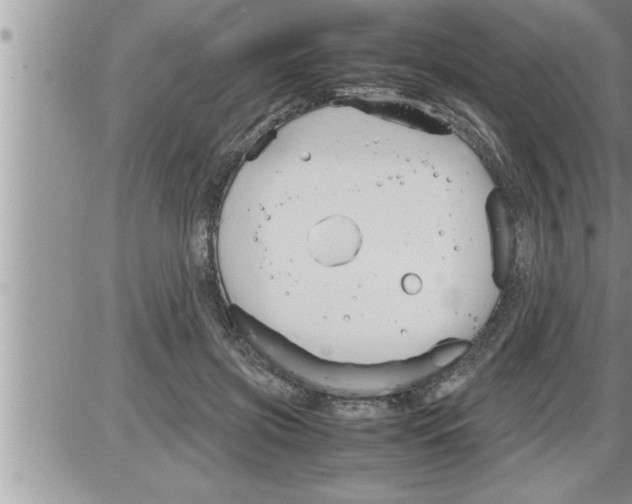 X0000086330549200704271945