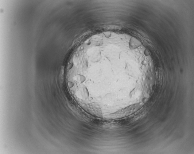 X0000086330550200704271945