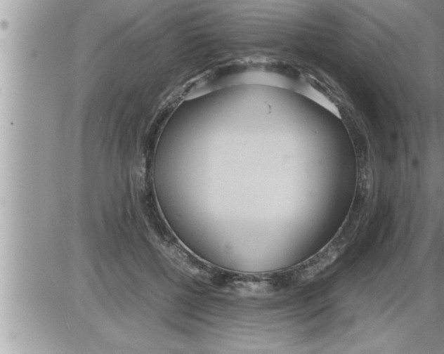 X0000086330552200704271945