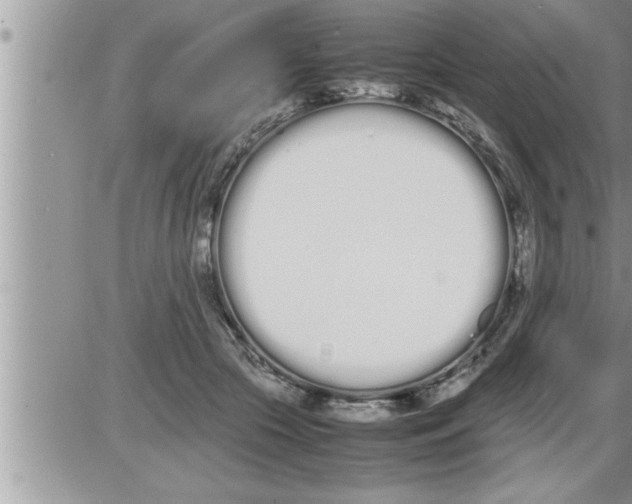 X0000086330553200704271945