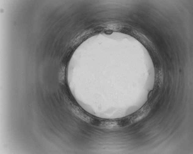 X0000086330554200704271945