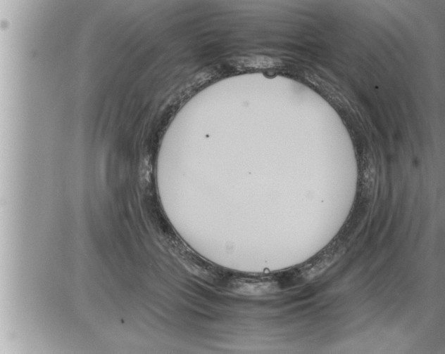 X0000086330555200704271945