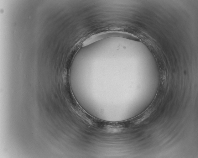 X0000086330556200704271945