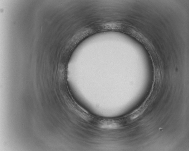 X0000086330557200704271945