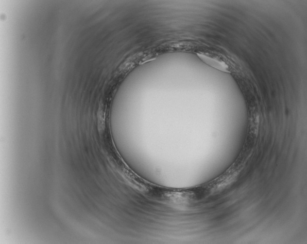 X0000086330558200704271945