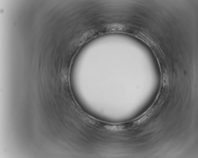 X0000086330561200704271945