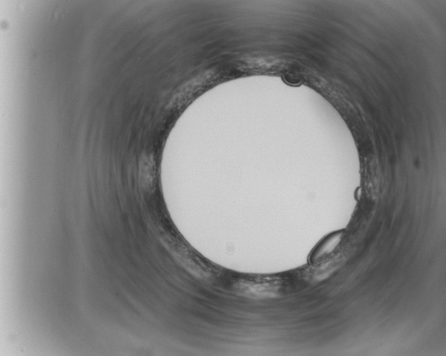 X0000086330563200704271945