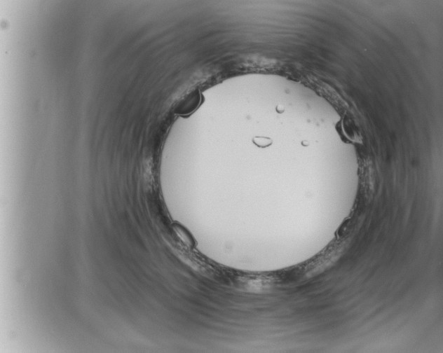 X0000086330564200704271945