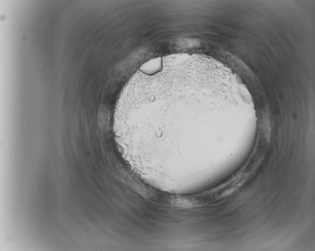 X0000086330565200704271945