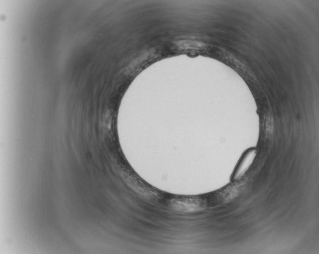 X0000086330567200704271945