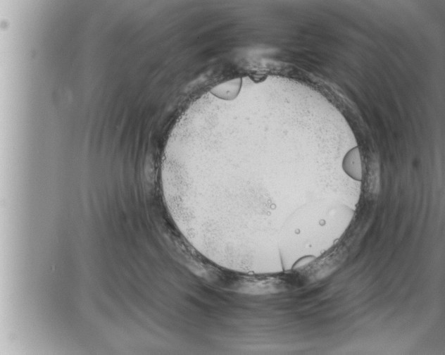 X0000086330569200704271945