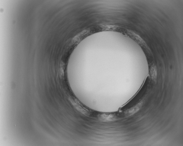 X0000086330570200704271945