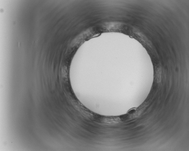 X0000086330571200704271945