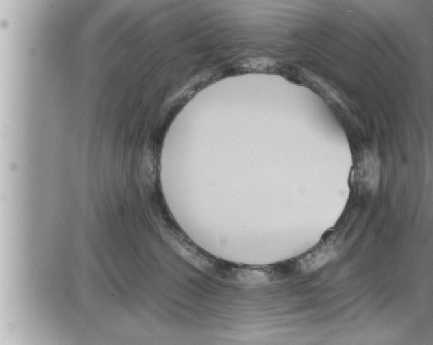 X0000086330572200704271945