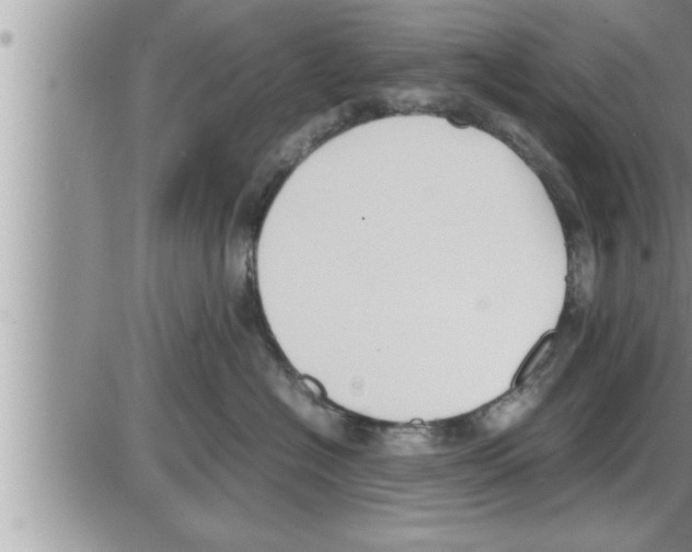 X0000086330574200704271945