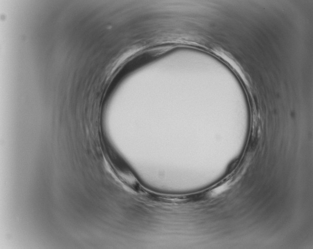 X0000086330577200704271944