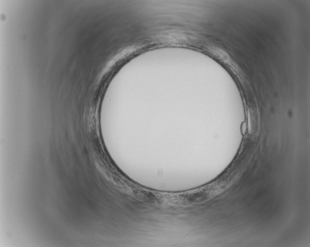 X0000086330579200704271944