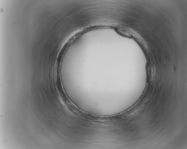 X0000086330580200704271944