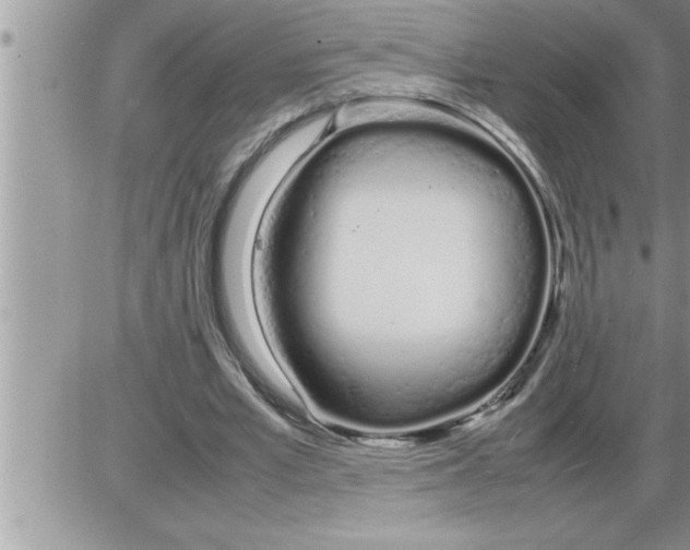 X0000086330581200704271944