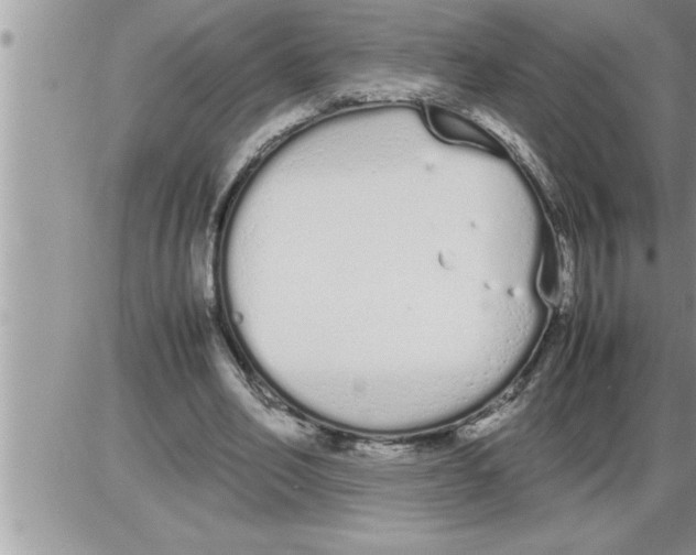 X0000086330582200704271944